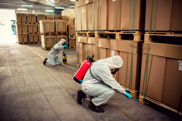 Best Local Pest Control Services  in Mogul, NV
