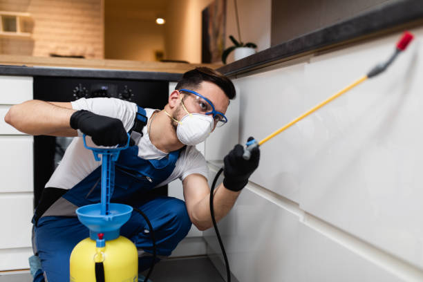 Best Residential Pest Control  in Mogul, NV