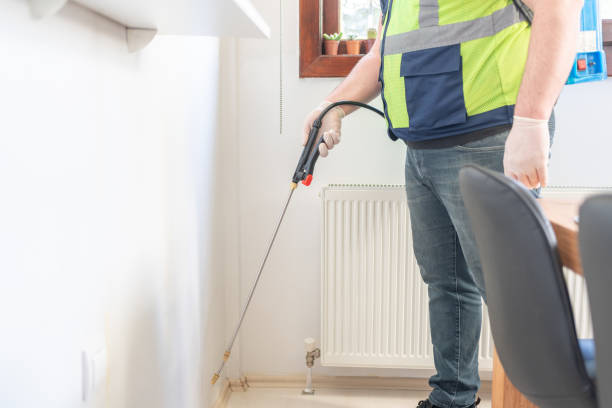 Reliable Mogul, NV Pest Control Solutions