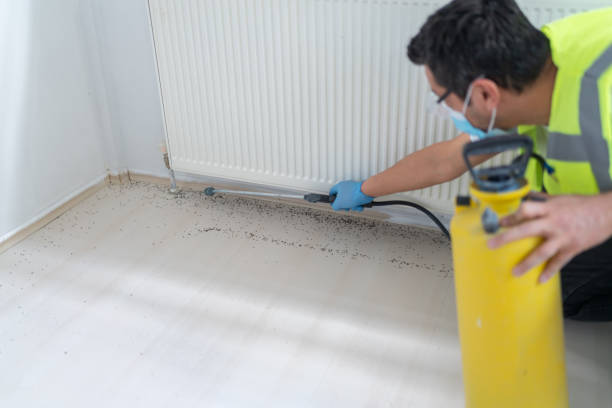 Best Best Pest Control Companies  in Mogul, NV